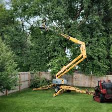 Artificial Turf Installation in Lakeway, TX