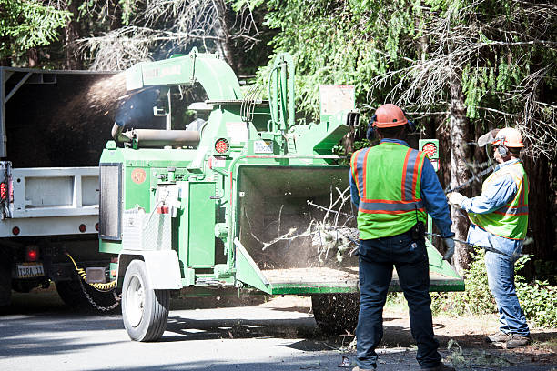 Best Seasonal Cleanup (Spring/Fall)  in Lakeway, TX